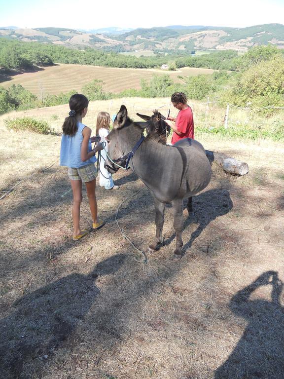 Saint-Izaire Gite Des Monts מראה חיצוני תמונה