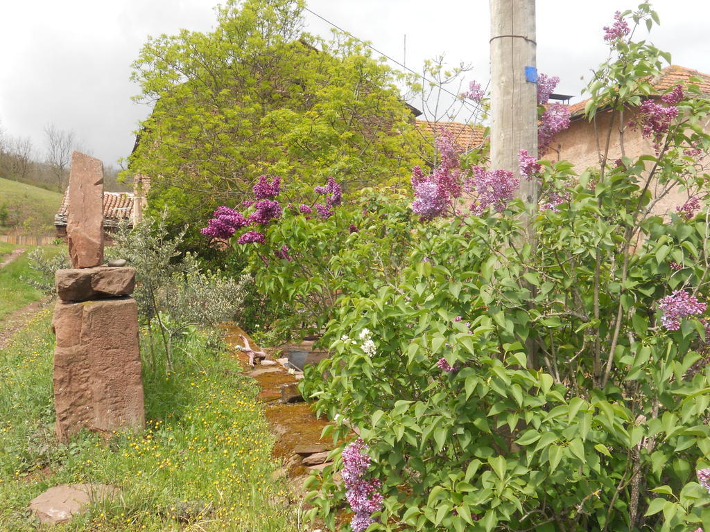 Saint-Izaire Gite Des Monts מראה חיצוני תמונה